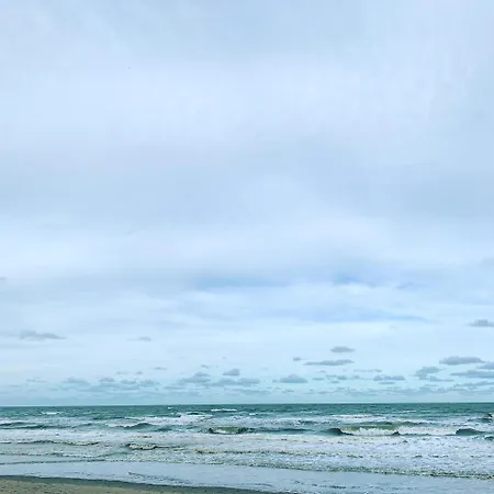 بيت للعطل Vakantiewoning Cachalot نيوبورت