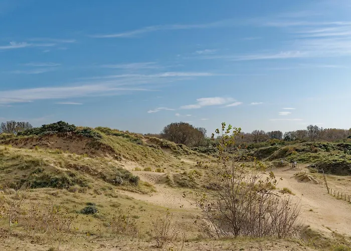 Vakantiewoning Cachalot *